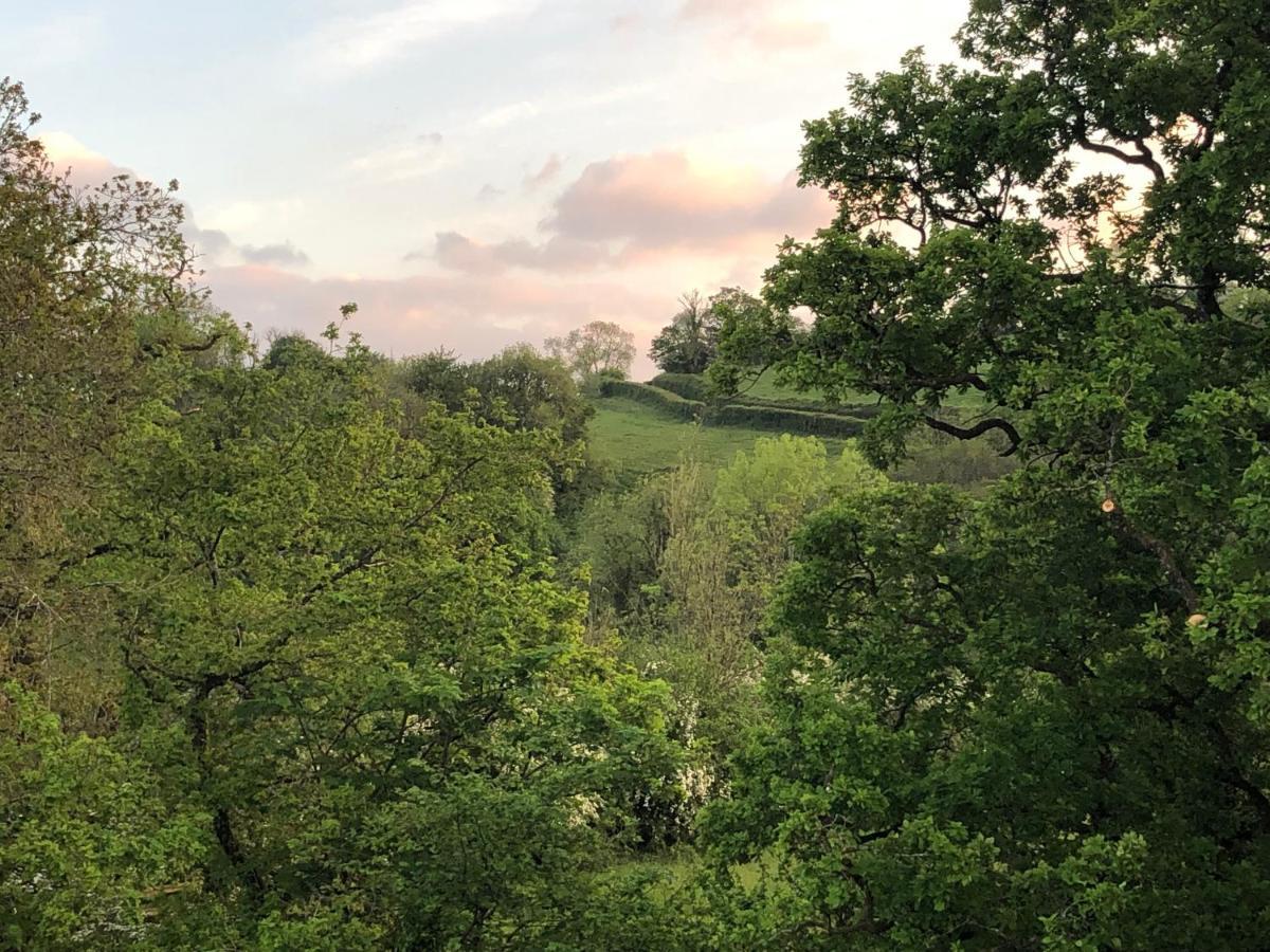 Nantgaredig Ynyswen Bed & Breakfast المظهر الخارجي الصورة