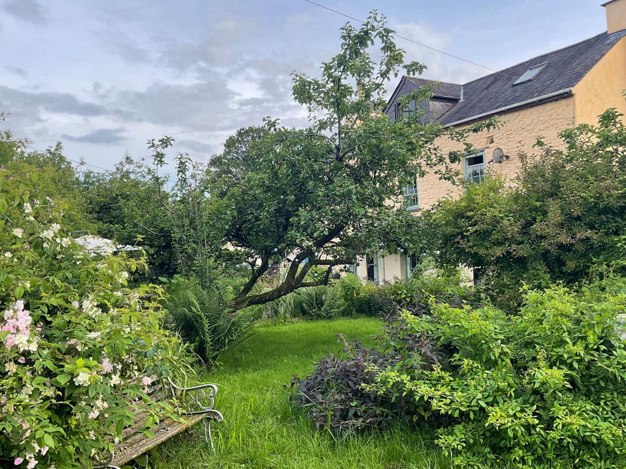 Nantgaredig Ynyswen Bed & Breakfast المظهر الخارجي الصورة